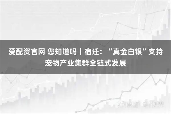 爱配资官网 您知道吗丨宿迁：“真金白银”支持宠物产业集群全链式发展
