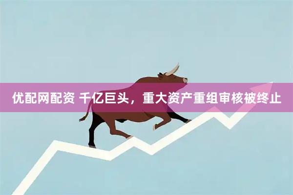 优配网配资 千亿巨头，重大资产重组审核被终止