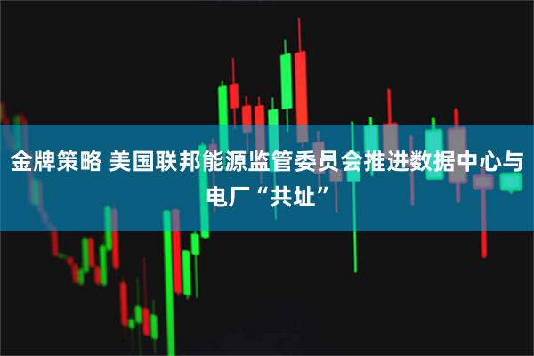 金牌策略 美国联邦能源监管委员会推进数据中心与电厂“共址”